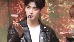 Astro(韩国),车银优 - Crazy Sexy Cool - 车银优直拍版 17/11/10