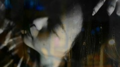 从你的全世界路过