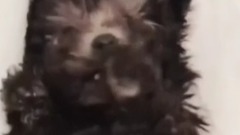 少女时代,太妍(少女时代) - zero.taeyeon ins更新