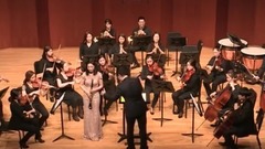 卡尔斯塔米茨降B大调单簧管第三协奏曲