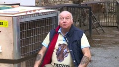 解救体重260kg的老虎"Phevos"