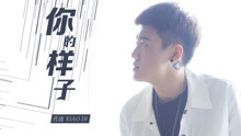 肖迪 - 你的样子