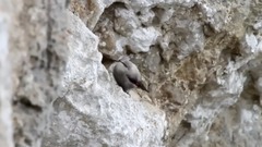 Run away with me by Omar Akram