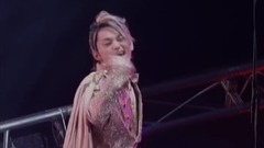 AAA - One Night Animal