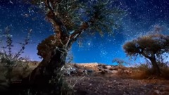 轻音乐 - 相思河畔(电子琴)