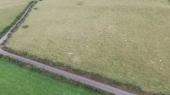 欧美群星 - Spitfire Chase