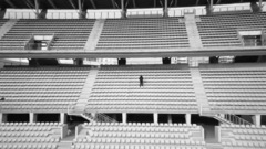 欧美群星 - Solitaire