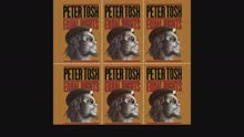 Peter Tosh - Downpressor Man (Audio)