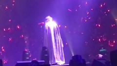 天空之城长笛花