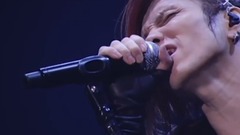 Acid Black Cherry - 優しい嘘