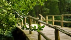 赏心悦色美自然 . yixin映画