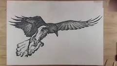 你见过火药画的老鹰吗?点燃后能真的飞起来吗!一起来见证!