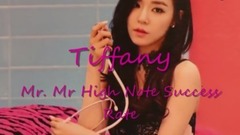 少女时代,Tiffany(少女时代) - 黄美英tiffany Mr Mr高音剪辑饭制版