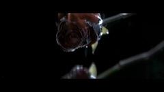 David Guetta,Jamie Scott,Martin Garrix - So Far Away