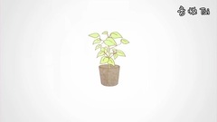 Nico - アッシュなミルクティー Ver.センラ