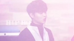 The Rose - Pick talk