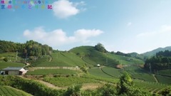 AKB48 - 横山由依 京都色彩日记 EP53 中文字幕 17/11/22 (德光×ANNASUKI字幕组)