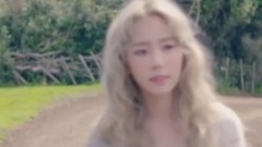 泰妍承认狗在车上警局调查内幕曝光