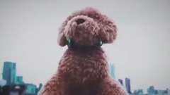 [Alexandros] - I Don't Believe In You