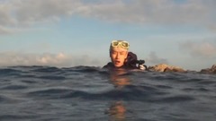 永远的避风港(音乐版)