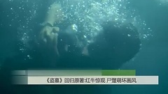 影视原声 - [盗墓笔记]资讯-回归原著尸蹩萌坏画风