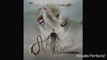 Víctor Manuelle - Pecado Perfecto (Cover Audio)