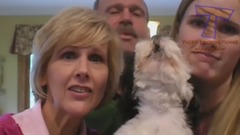 Cats & dogs singing with their owners - Funny and cute animal compilation