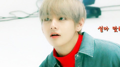 防弹少年团,田柾国(防弹少年团),V(防弹少年团) - Run BTS! 2017 - EP.30