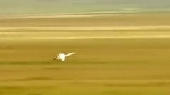 梁山伯与祝英台