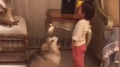 小女孩儿犯错,被罚站,狗狗的举动太暖心了!