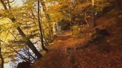 Stamatis Spanoudakis - And We Went Through Years