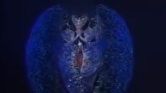 幸せ(伤心太平洋原曲)