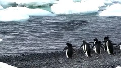 萧玮(麦田守望者) - 相遇