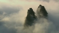 看透爱情看透你