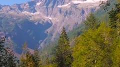 潺潺溪流 华盛顿之秋