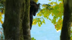 民乐群星,风景,音乐短片,轻音乐,乐动城市 - 俺家门口深秋的山林风光