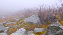 宁静的湖泊 华盛顿之秋