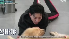 韩国综艺,韩国群星 - 需要对话的狗狗.E13.