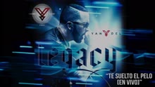 Yandel - Te Suelto el Pelo ((En Vivo) [Cover Audio])