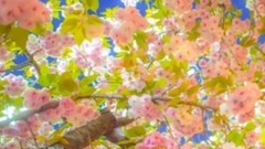 你是一段特别的留白