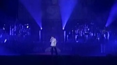 安七炫 - Wild Flower