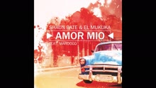 Shaun Bate,El Mukuka - Amor Mio (Pseudo Video)