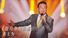 蒋大为 - 骏马奔驰保边疆