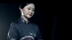 民乐群星 - 新鸳鸯蝴蝶梦