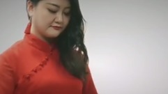 民乐群星 - 恭喜发财