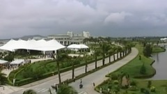 胡灵 - 冲一杯茶