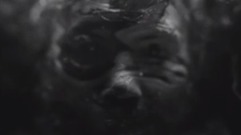 罗时丰 - 单向人生