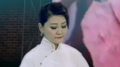 民乐群星 - 花好月圆