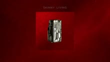 Skinny Living - Let Me In (Lyric Audio)