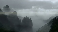 Purple Grass & Firefiles